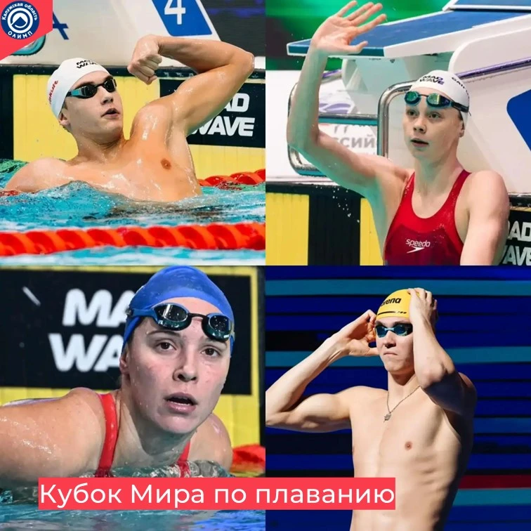 🏊‍♂️ ВПЕРЕДИ — КУБОК МИРА! 🌍🏆