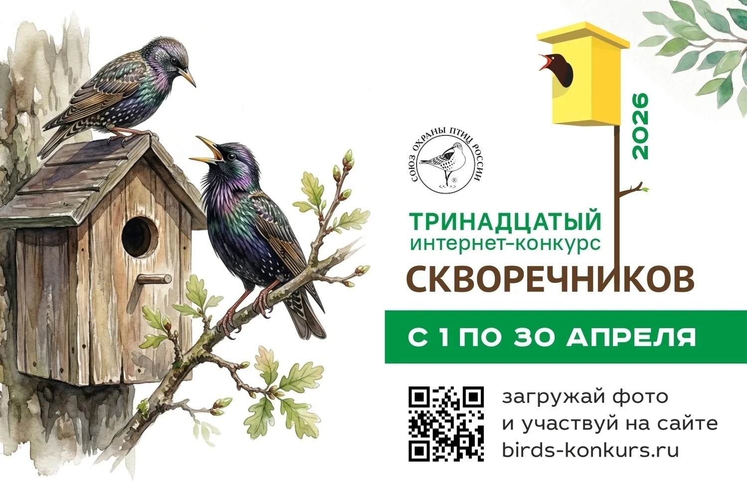 Интернет-конкурс скворечников 🦅