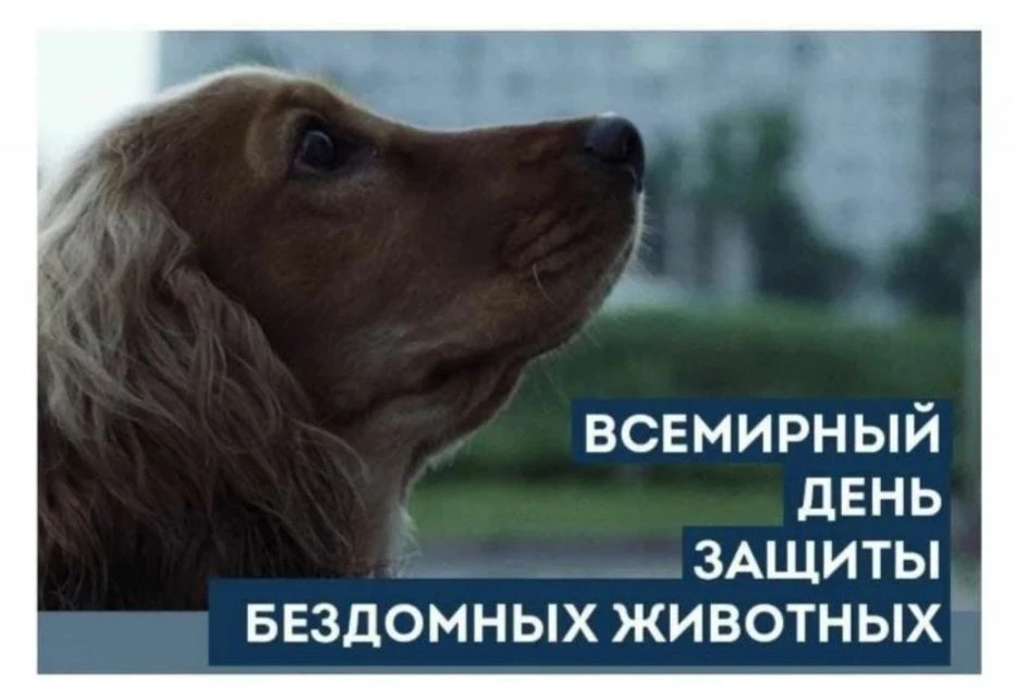 16 августа в филиале МУК МЦРБ Неверкинского района в селе Старая Андреевка прошёл Эко -...