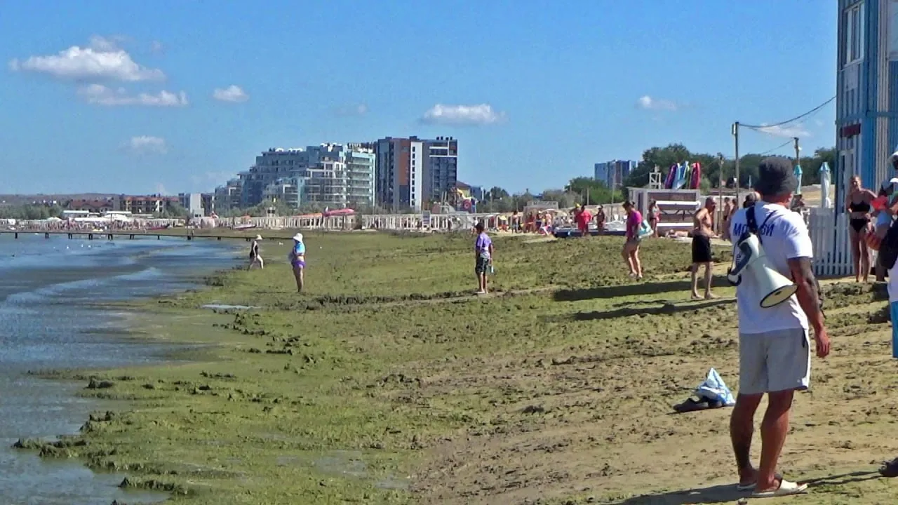 🌊 На городском пляже сегодня море решило добавить побольше зелени.

🌿 В районе качелей и причала в