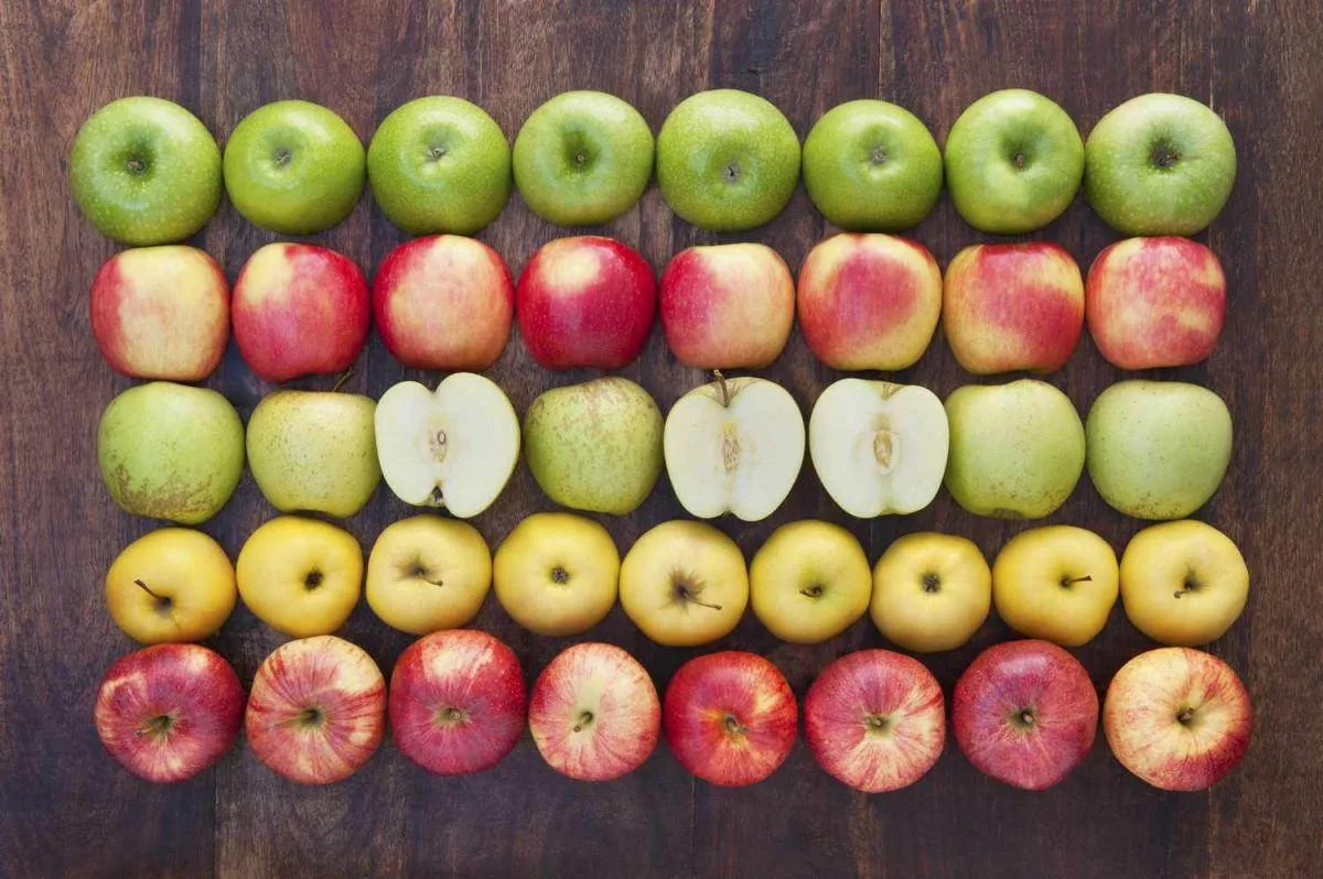 Шпаргалка по сортам яблок. Часть 2

🍏 Симиренко
Кисло-сладкий, сбалансированный, с пряным оттенком.