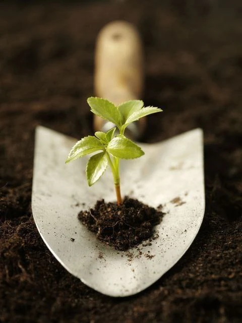 🌱 Создание натурального удобрения из органических отходов:
