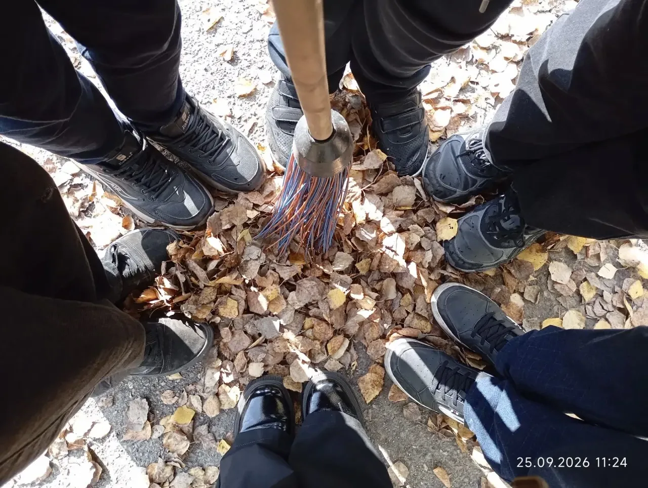 🍂🍁ОСЕННИЙ СУББОТНИК