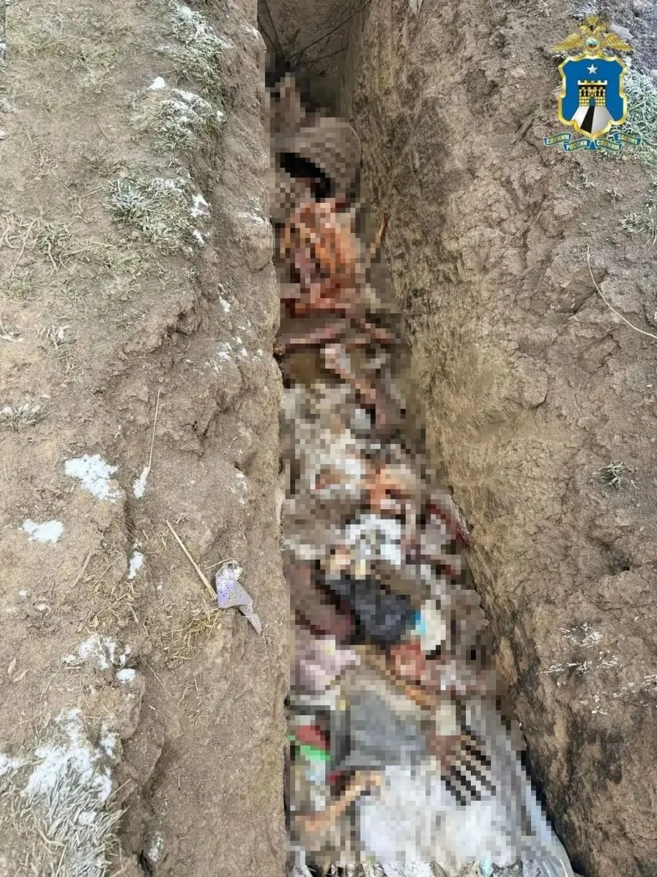 ❗️В Кировском округе завершено расследование уголовного дела о мошенничестве при заключ...