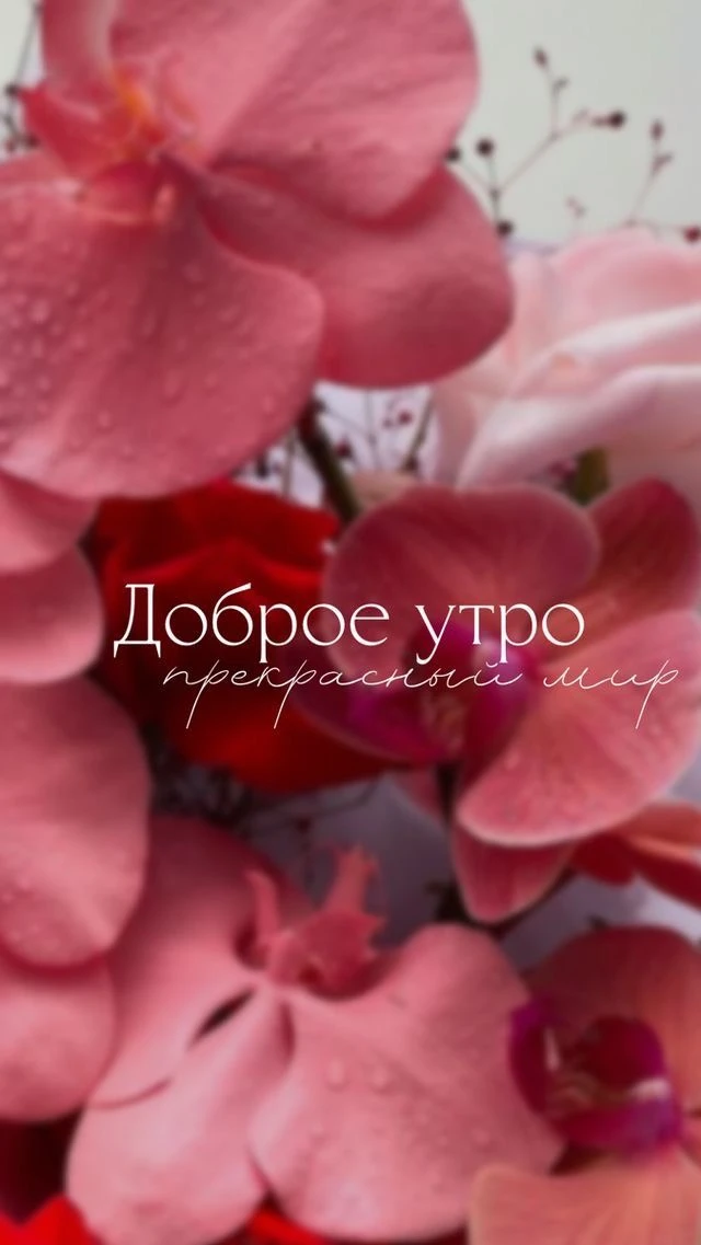 С добрым утром, красотка🩷