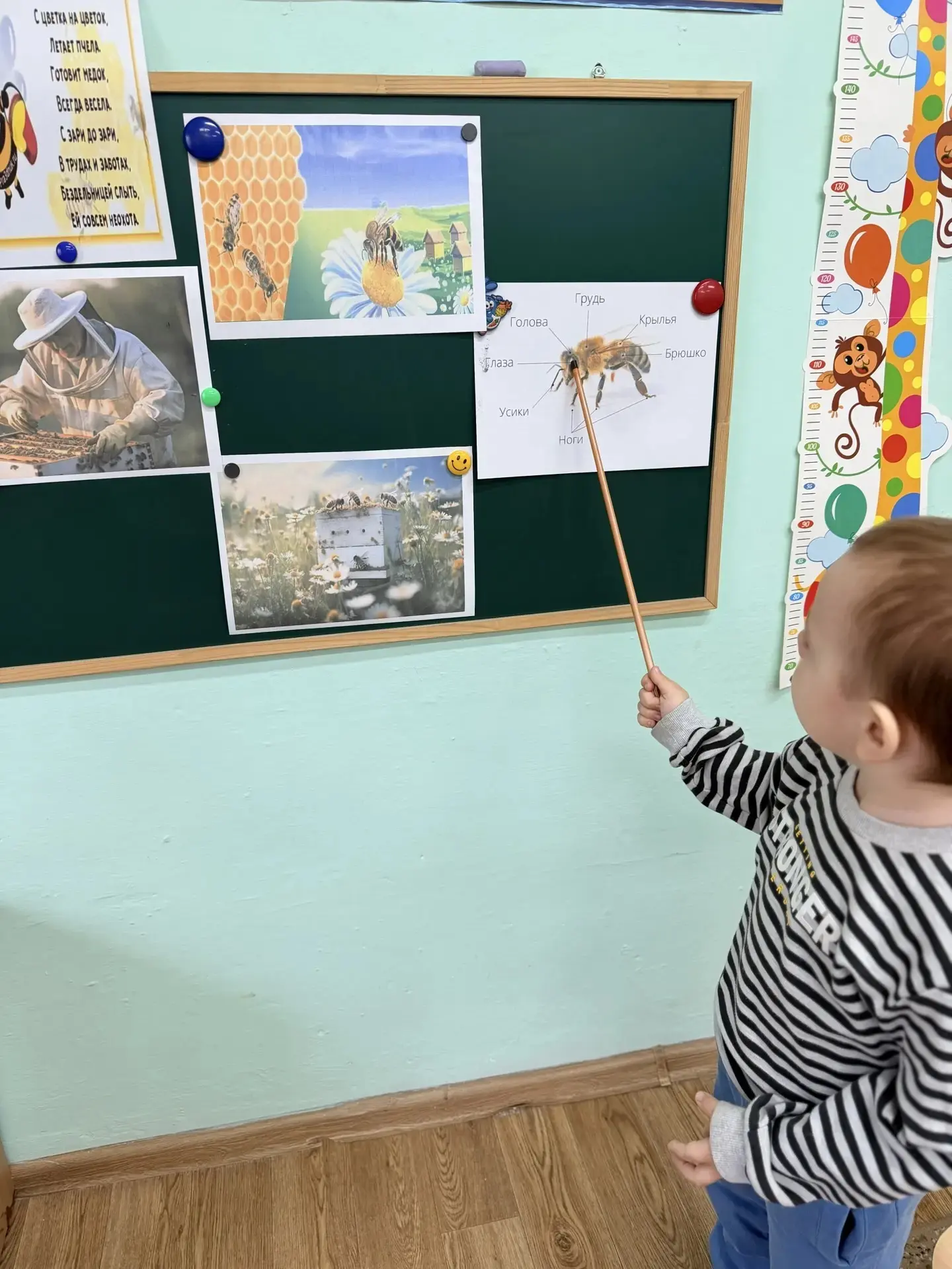 "Я — старательная Пчелка 🐝 Жу-жу,
 Я из улья прилетела,
 Потому что к вам я в гости
 Очень сильно з