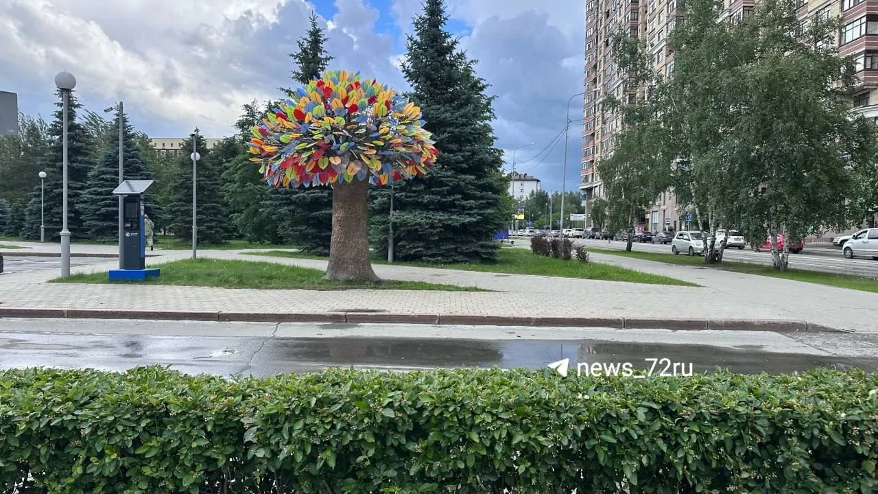 «Дерево счастья» переехало к ЗАГСу.