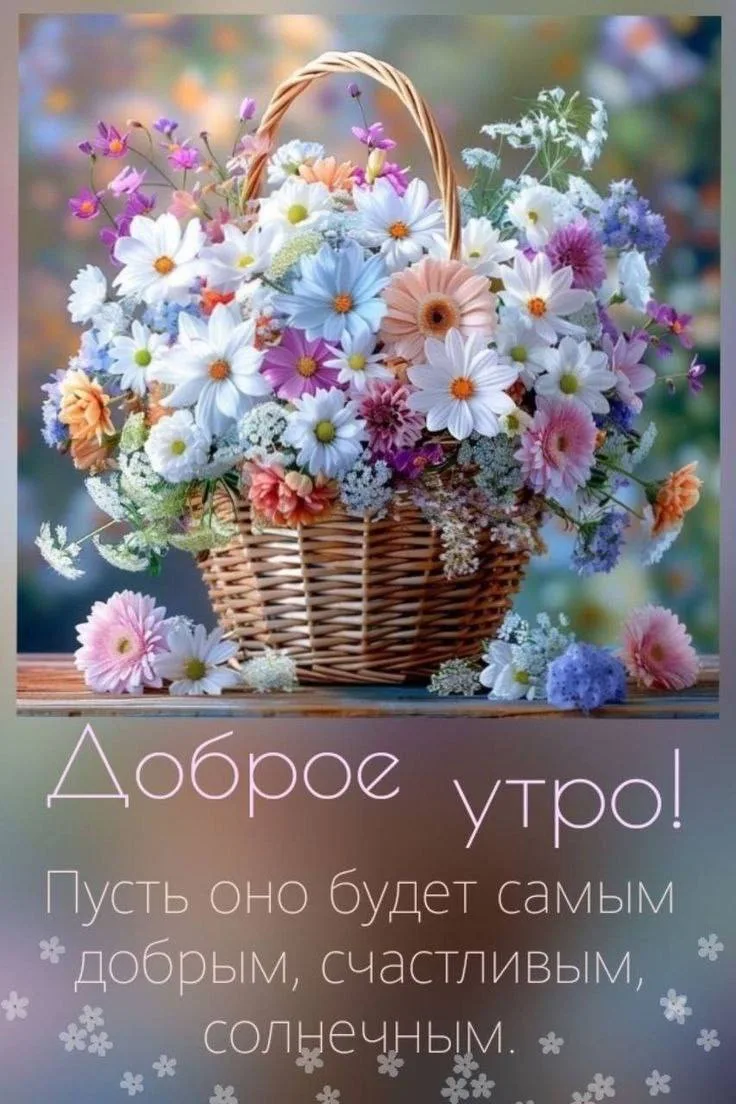 ОТКРЫТКИ