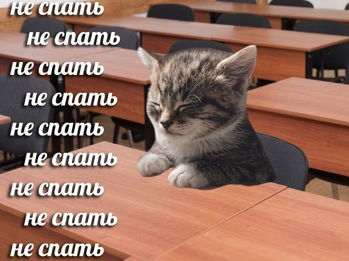 Все с утра такие? 💤