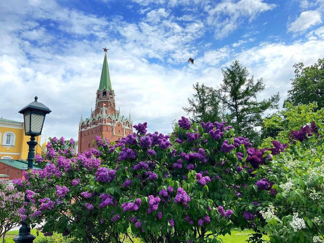 Всем привет!👋