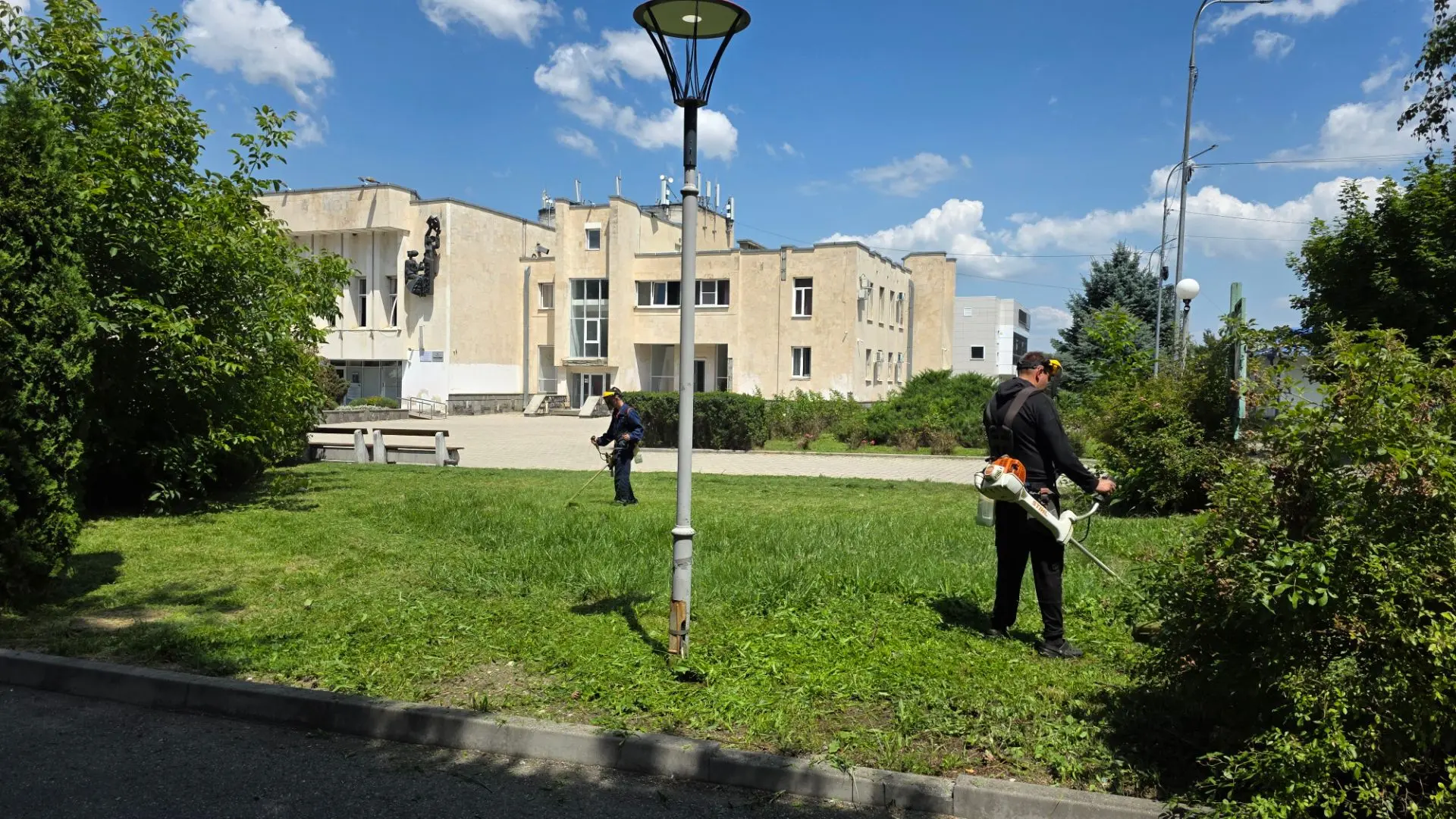 Уважаемые друзья! В этом году трава бьёт все рекорды - растёт так, будто усиленно готовится к Олимпи