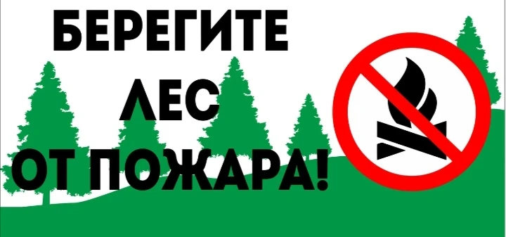 ❗❗❗В Брянской области введён особый противоположный режим в лесах с 11 июня по 19 июля 2026 года.

❗