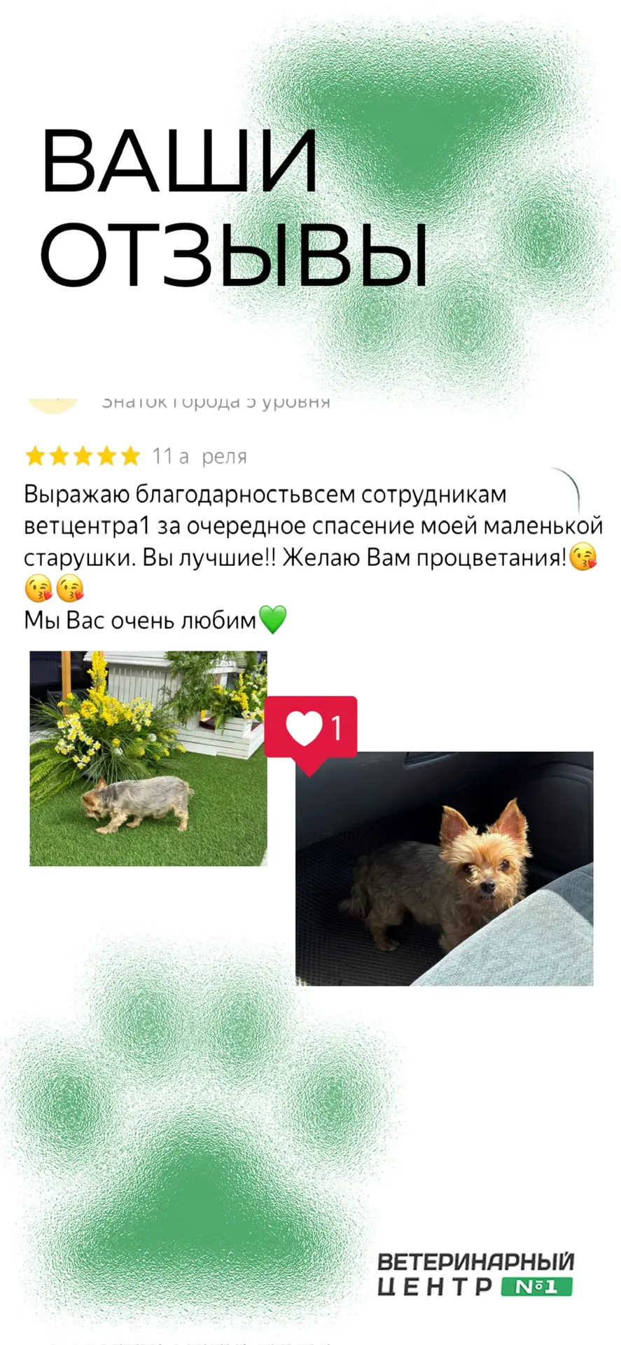 Ваши отзывы 🐾💚