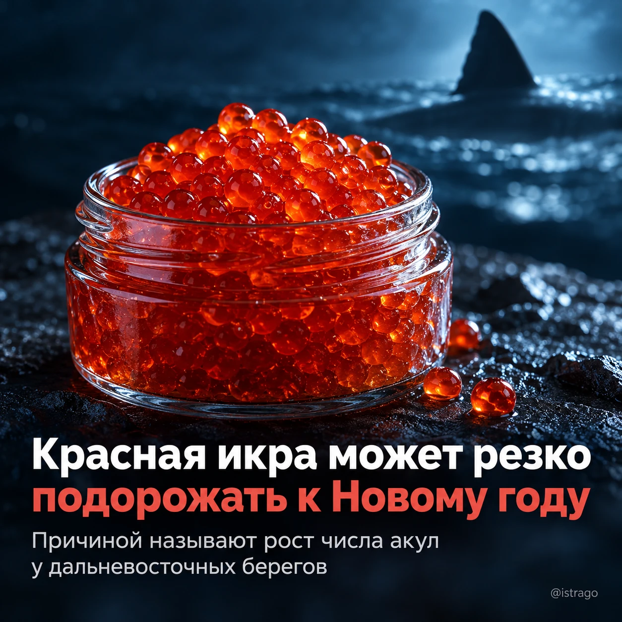Красная икра может резко подорожать к Новому году