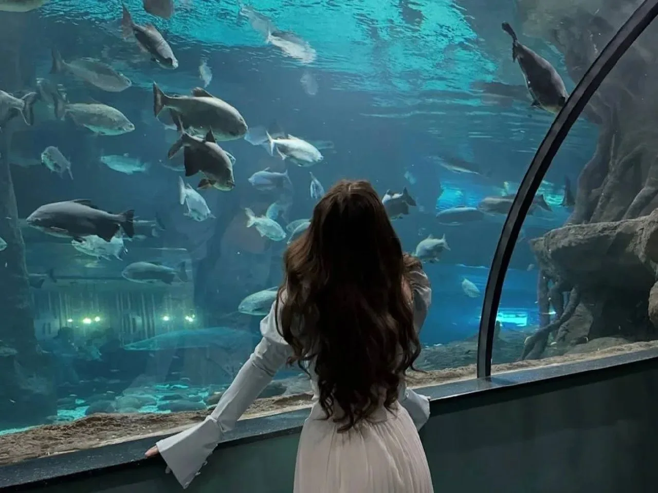 🐠 Необычное свидание среди огромных аквариумов
