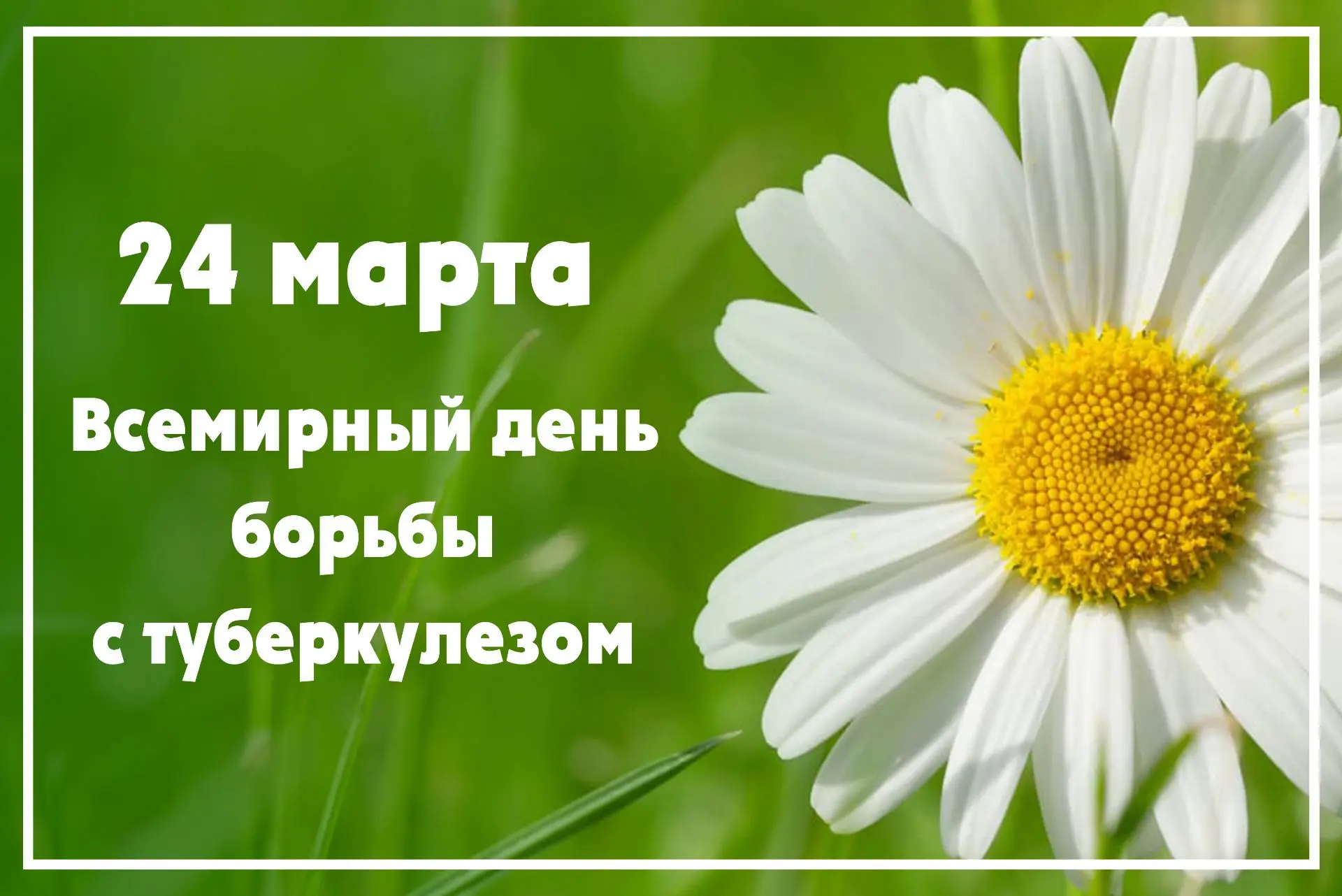 Ежегодно 24 марта проводится Всемирный день борьбы с туберкулезом, чтобы привлечь внима...