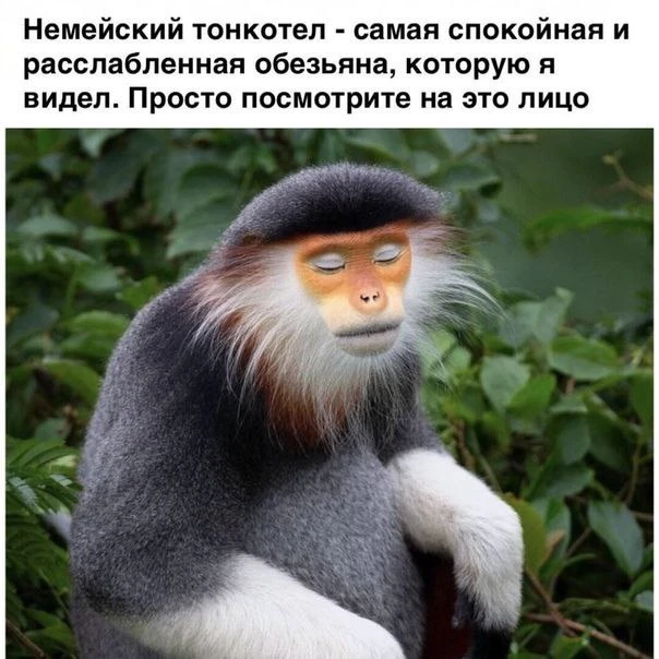 😂😂😂