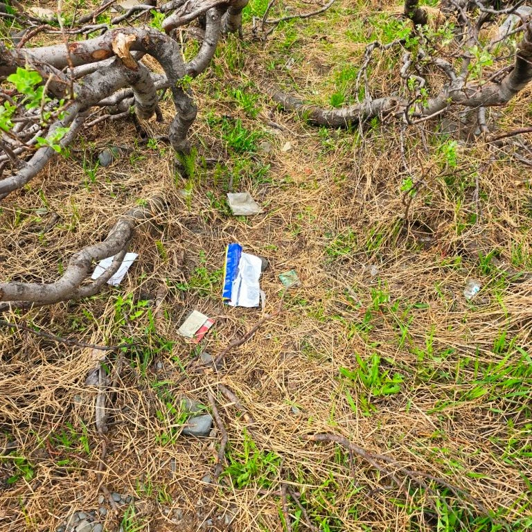 🌿 Зеленая Весна - 2026 🌿 
15 июня, в рамках «Экологического субботника «Зеленая Весна-2026»,  восп
