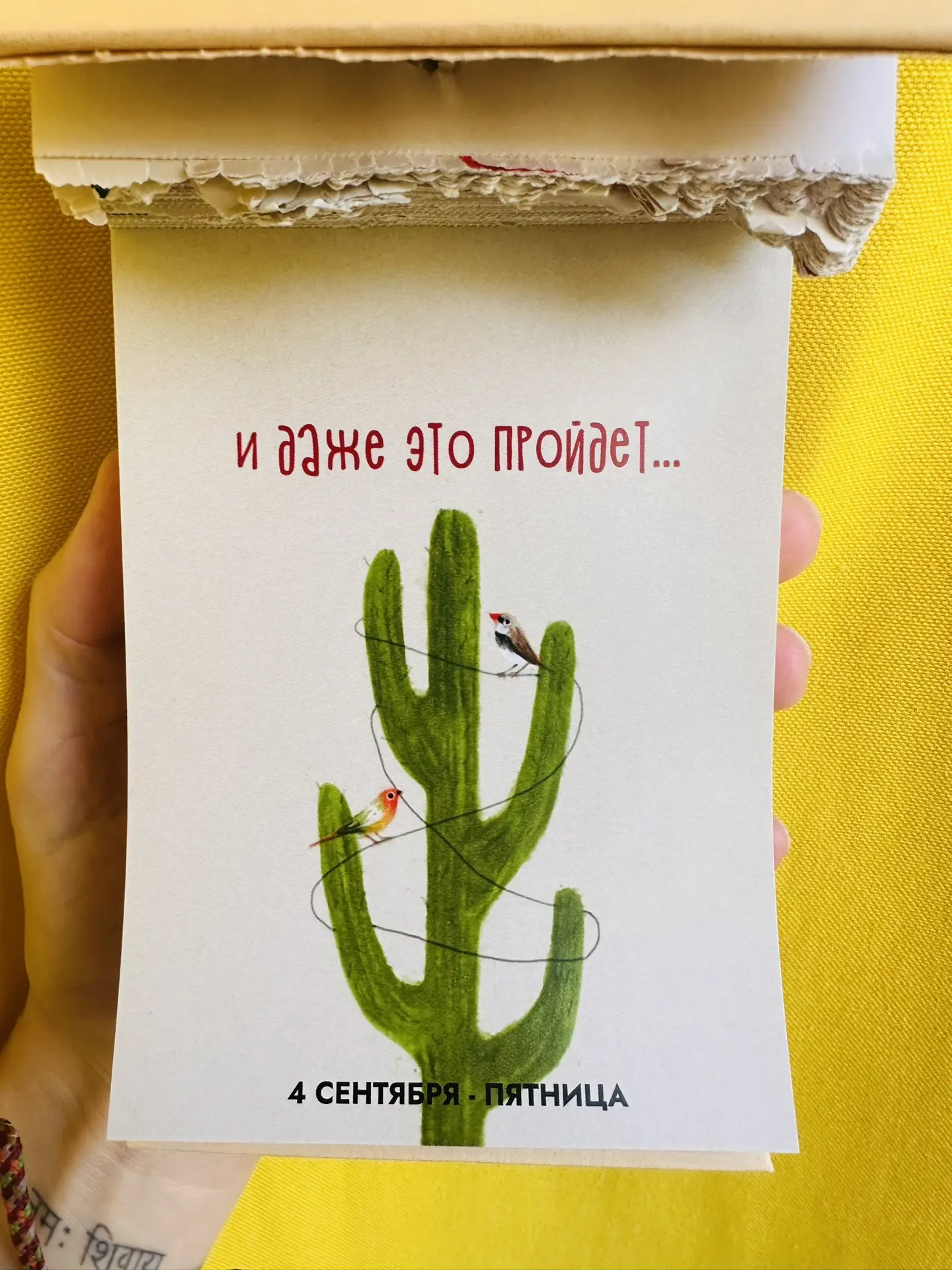 Доброе утро ☀️