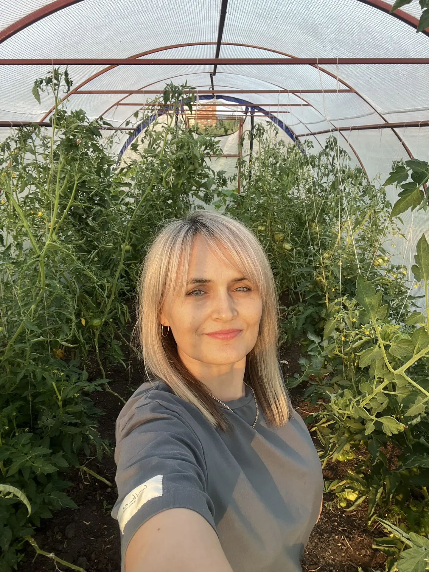 После работы заехала а теплицу! Там помидоры утыкаются в потолок, неконтролируемые плети! Собрала лю