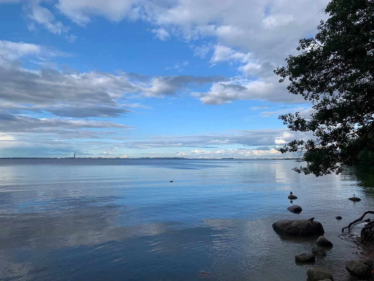 Лучшие пляжи СПб и Ленобласти 🏖️ 

Вот небольшая подборка симпатичных пляжей с хорошими видами, пок