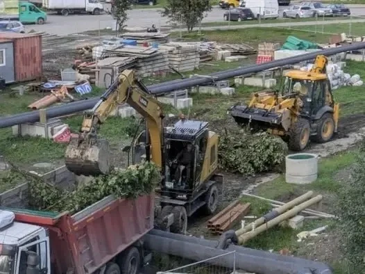 😳 В Шушарах вырубили аллею в память ленинградских поэтов и писателей