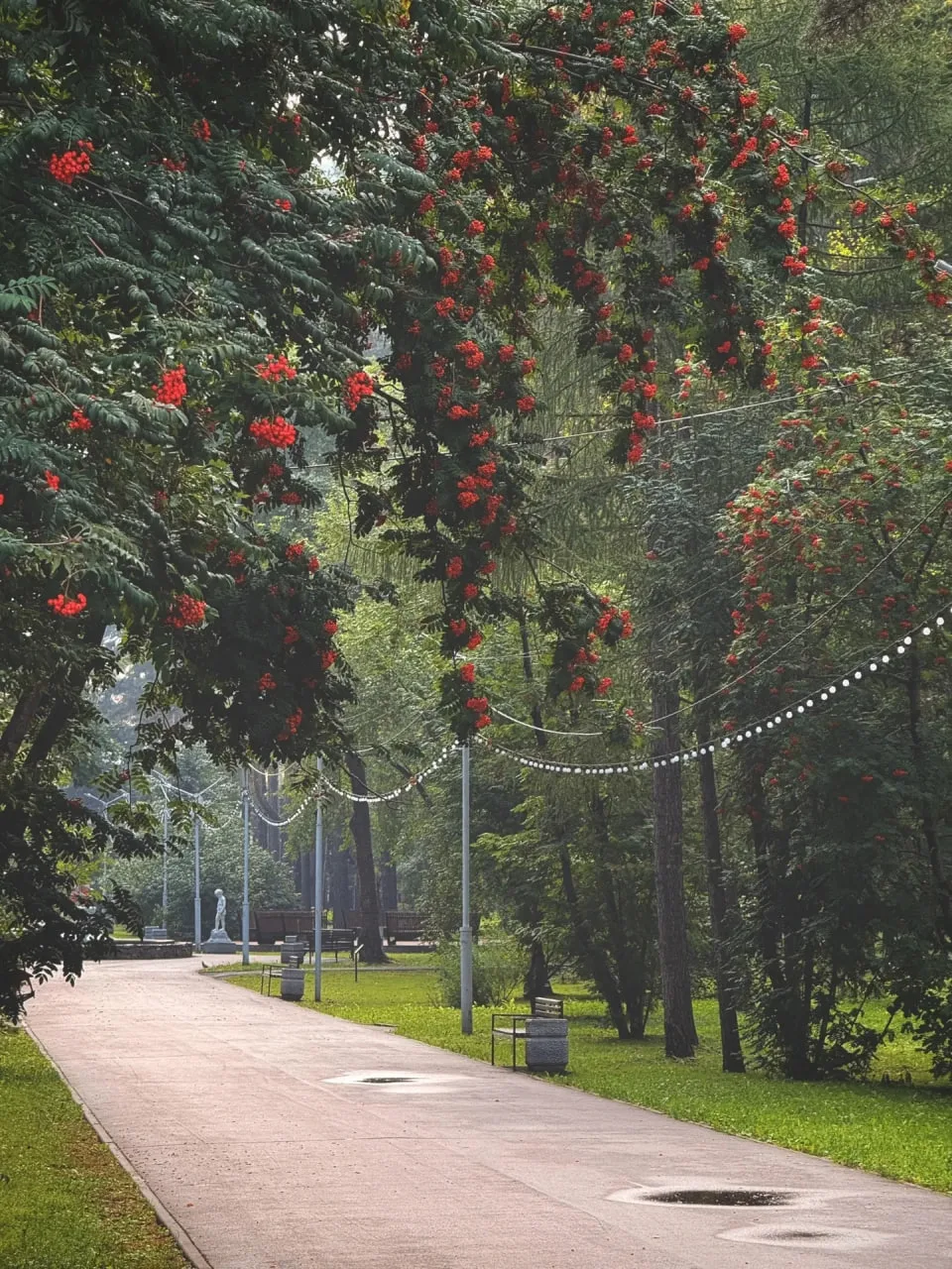 Вспоминаем о лете 🍃 Уже в осени 🍂