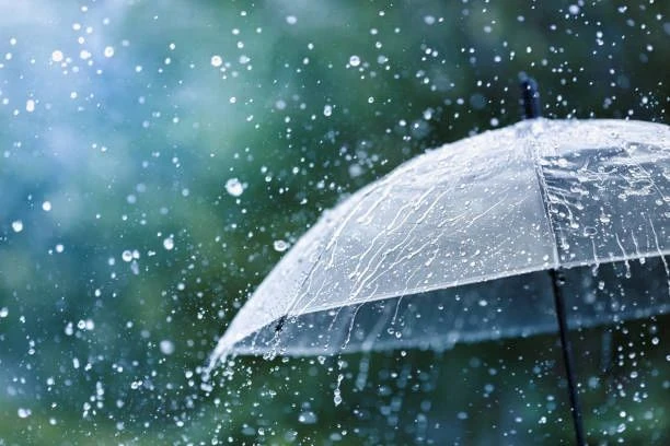 🌧Дождь — это не просто сырость, это серьёзное испытание для водителей и пешеходов. Мокрая дорога и 