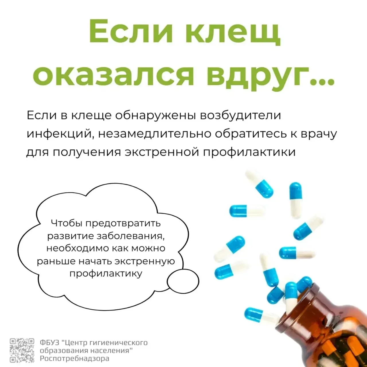 🤔Что делать, если присосался клещ?  Весна и лето - не только тепло, но и риск встречи с клещами. Эти