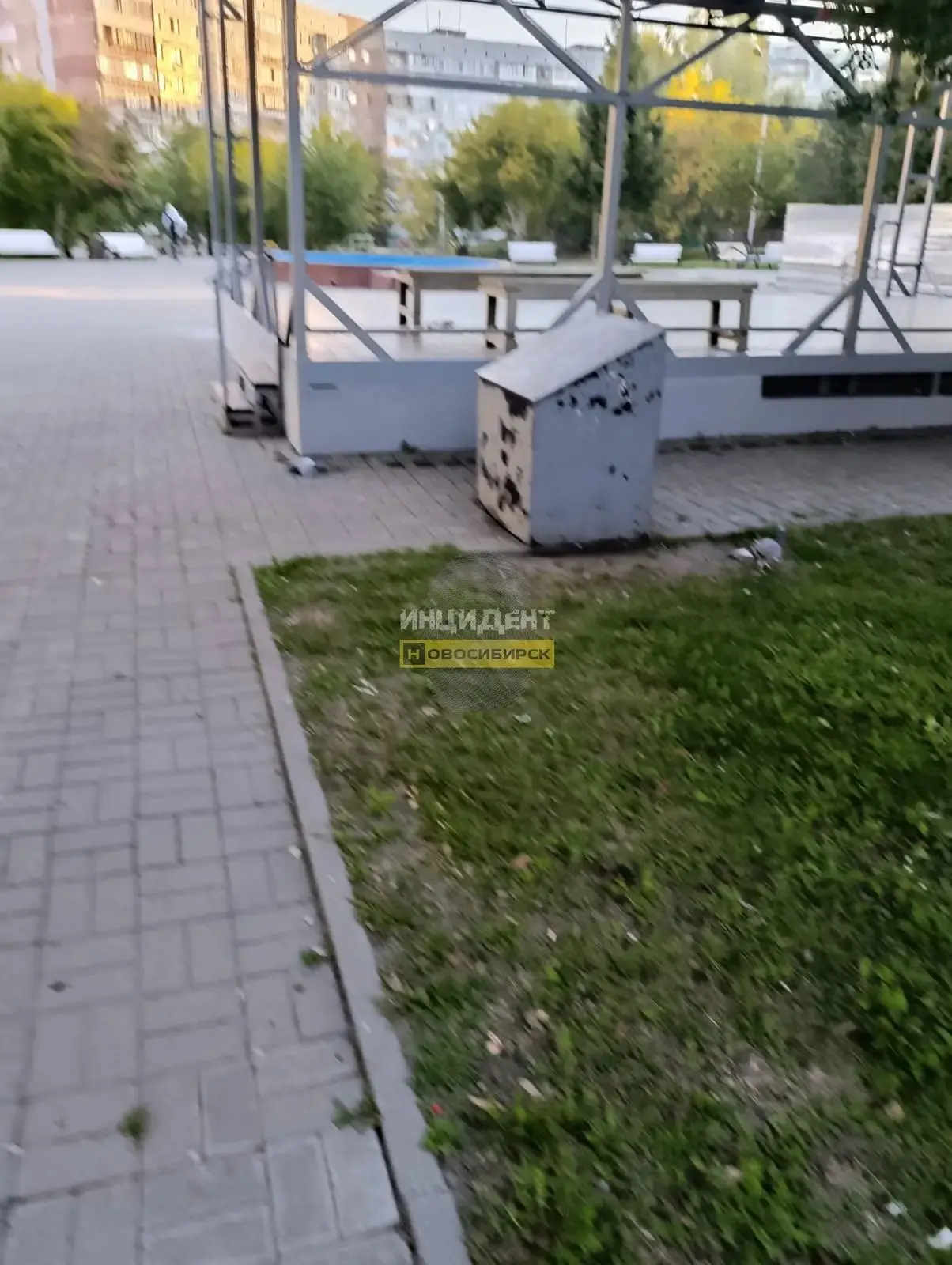 Массовое отравление голубей обнаружено в Калининском районе