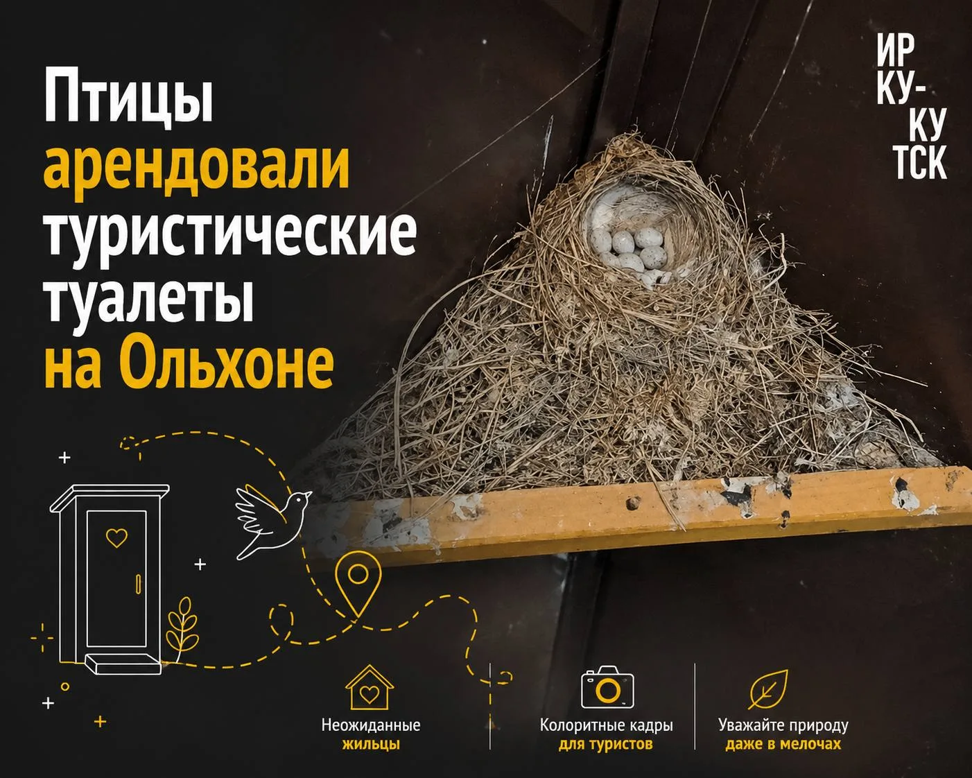 🐣  Узнаем и не осуждаем: птицы свили гнёзда в туристических туалетах на Ольхоне

Ласточки и трясогу