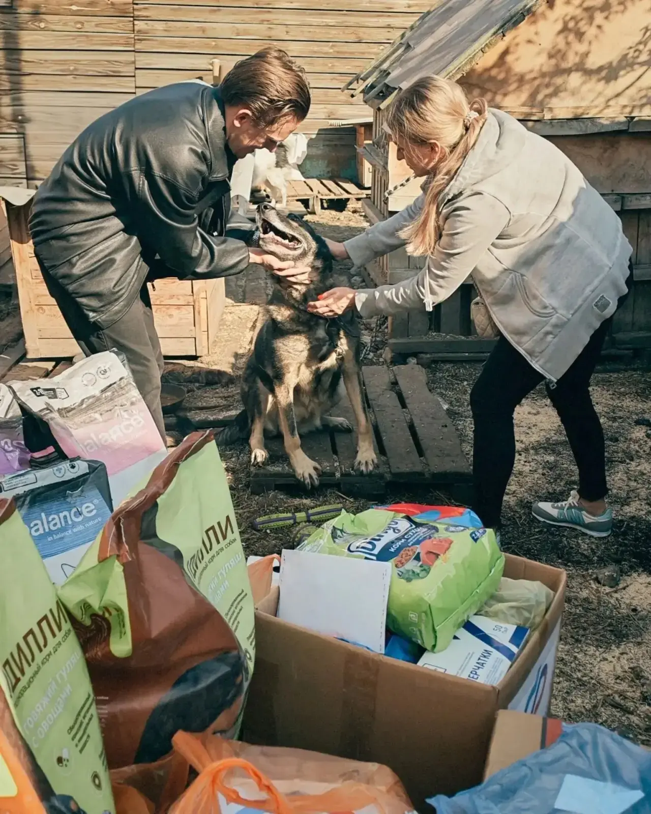 🐈🐶Участники Молодежного совета центра реабилитации СФР «Омский» посетили приют для жи...