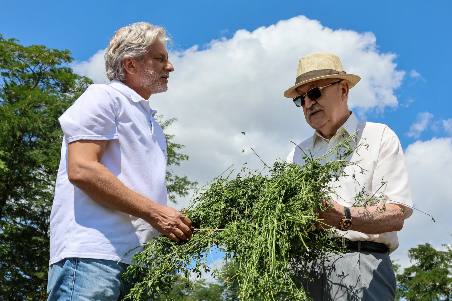 🚜  От кубанского поля до стола земляков