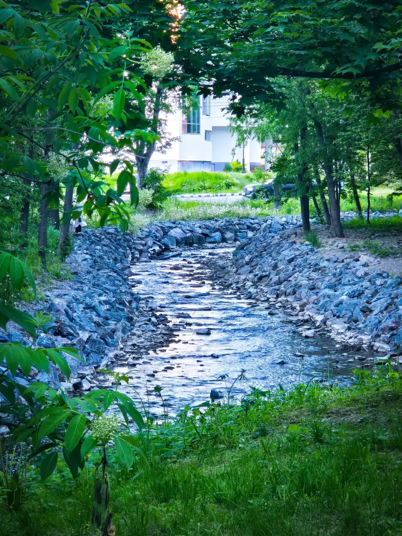 🌳Кто сказал, что красота и спокойствие только за городом? 

🌟Южно-Сахалинск умеет удивлять: среди 