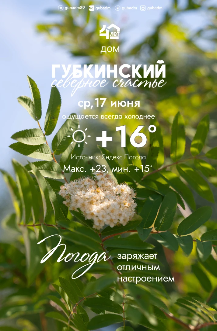 ☀Доброе утро, губкинцы!