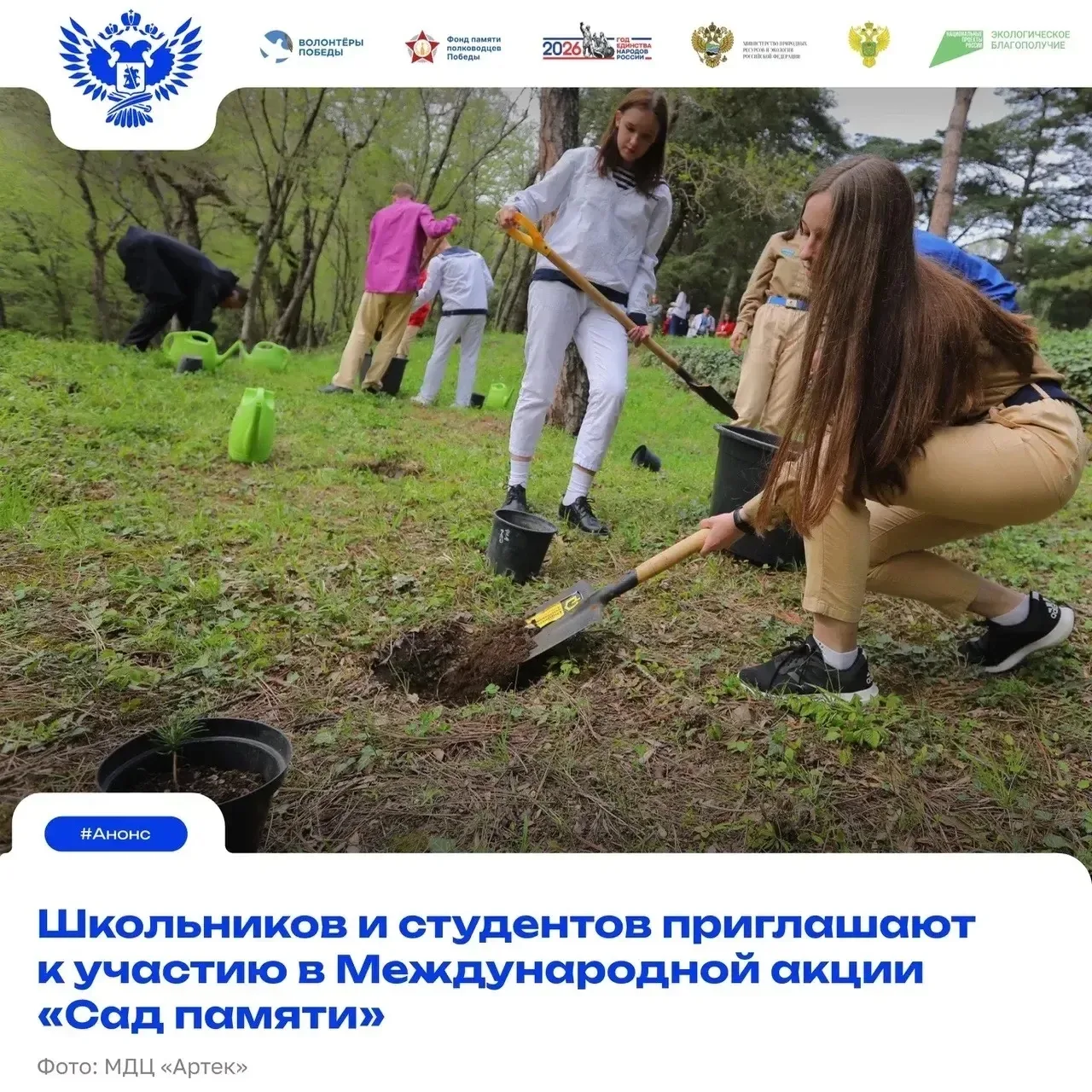 Подарите детям урок истории и заботы о природе! Участвуем в Международной акции «Сад па...