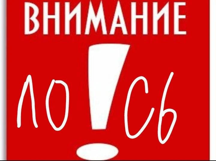 ⚠️🫎 Сейчас (10.9 пт 9:45) по Вербной по нечётной стороне в направлении "Ленты" от Репи...