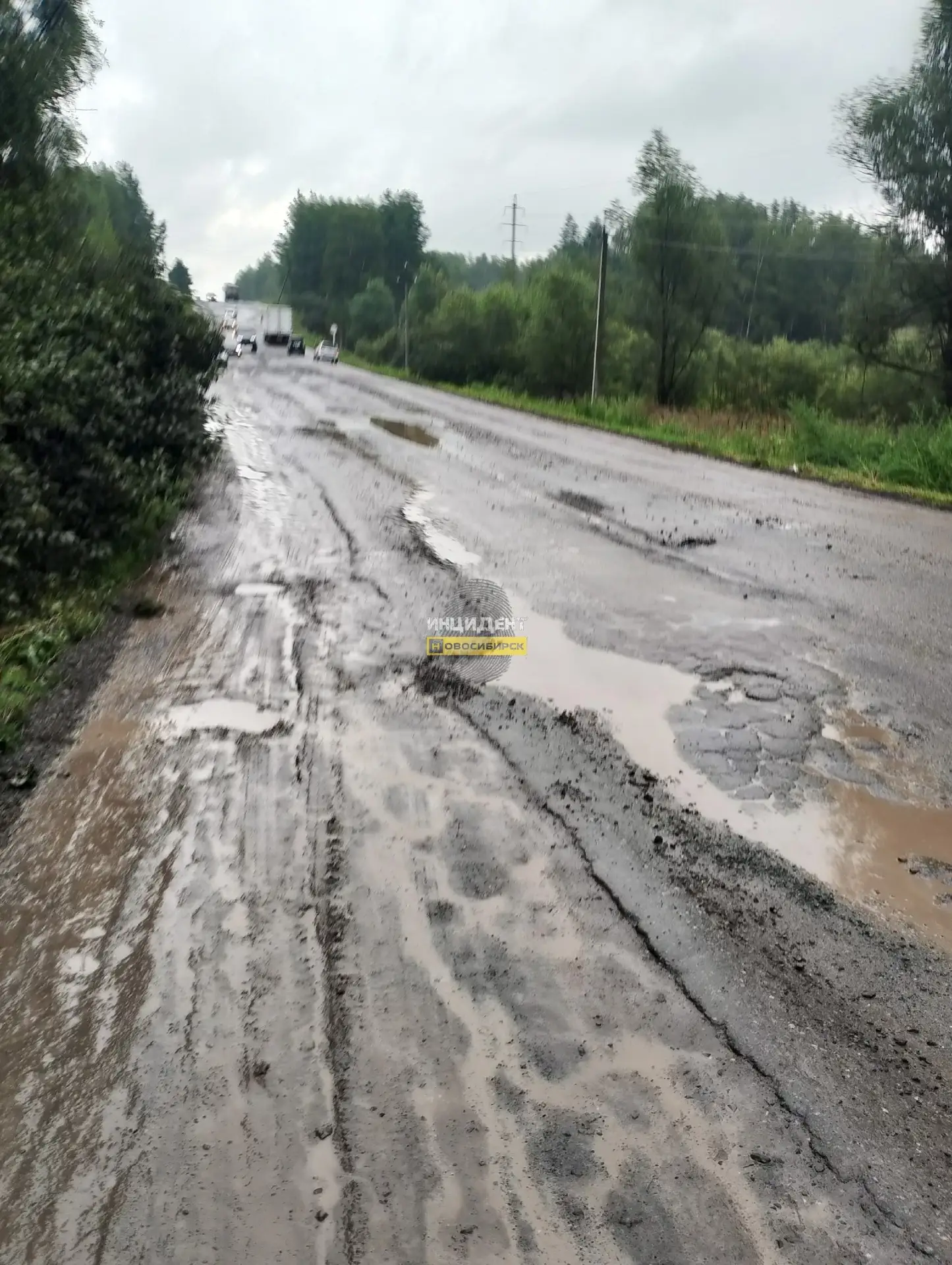 Жители жалуются на аварийную дорогу в сторону Тогучина

Дорога от сибирского ЛВЗ в сторону Тогучина 