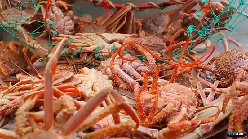 🦀 С приморца взыскали почти 13 миллионов рублей за браконьерский вылов краба