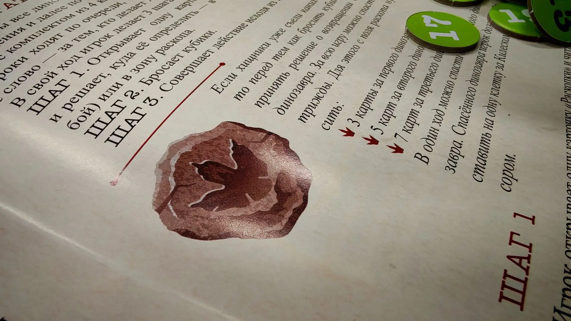 🦕Библиотеки Благовещенска приняли участие в мастер-классе по игре «Амурозаврия. По сле...