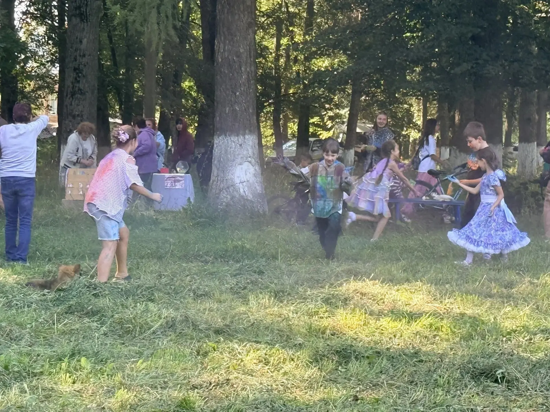 В рамках программы #ЛетоВоДворах в Богословском прошел фестиваль красок. По команде вед...
