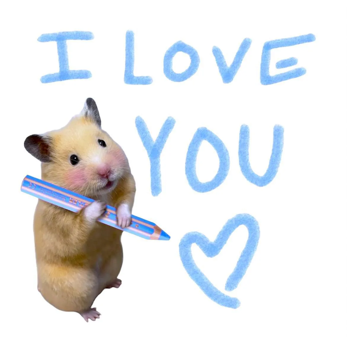🐹✉️Этот милый хомяк приготовил новое секретное слово for YOU ⬅️