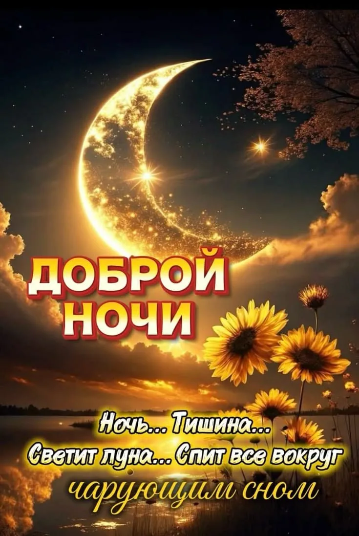Дом Открыток🏠