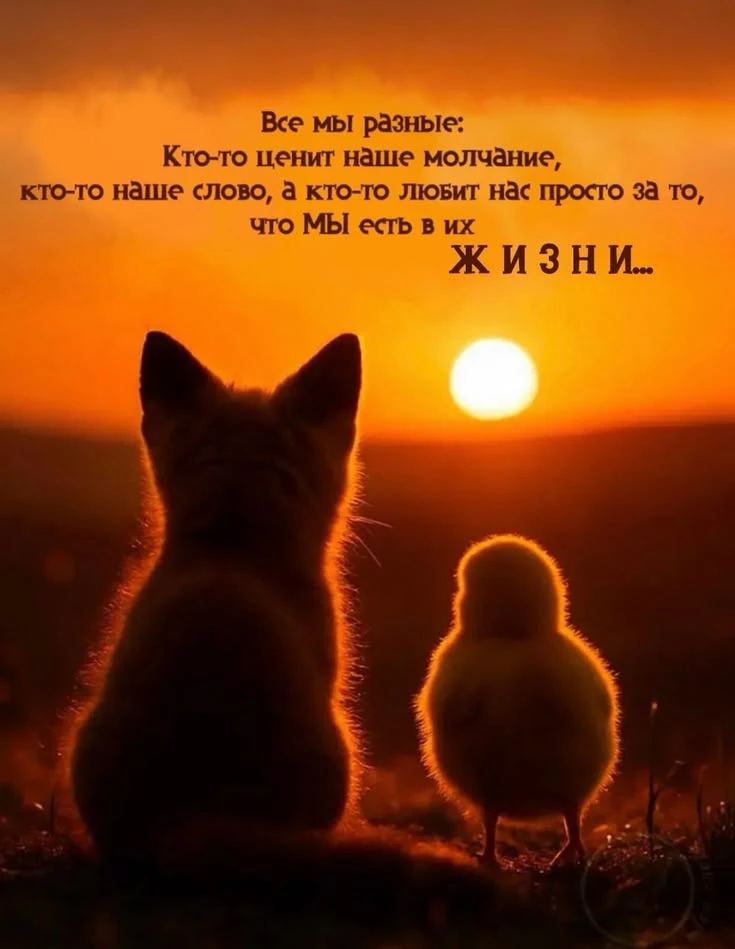 https://max.ru/invista123456