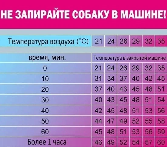 ⚠ Не оставляйте собак в машинах, на верандах и застекленных балконах ⚠

Мужчина с безжизненным телом
