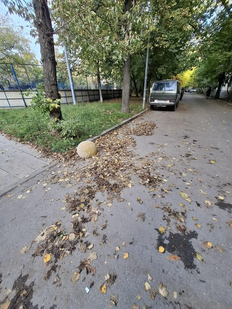 🍂 «Вот и первый день октября. А во дворе дома 54а по Ленинградскому проспекту листья н...