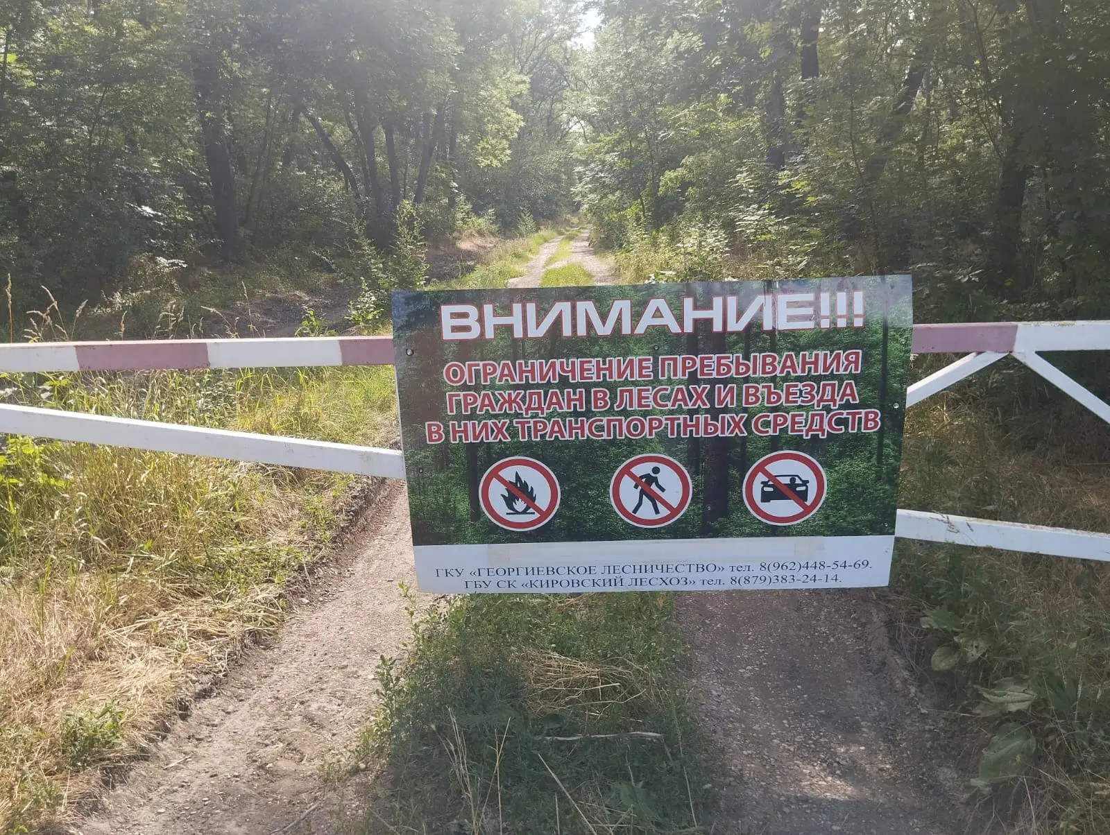 Ограничения при посещении лесов продлены до 9 августа на Ставрополье 

Соответствующий приказ подпис