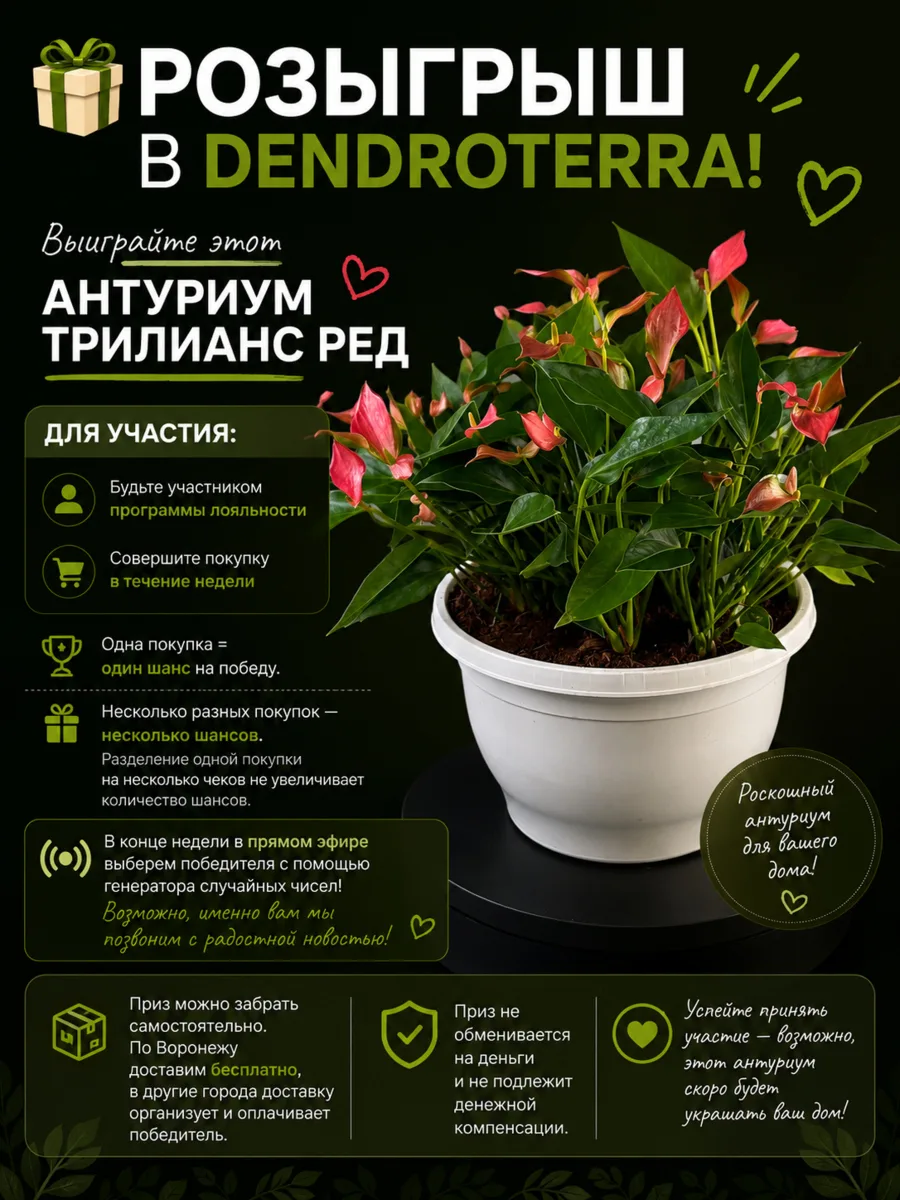 🎁 РОЗЫГРЫШ В DENDROTERRA!🌿

Хотите выиграть великолепный Антуриум Трилиианс Ред?😍

Для участи