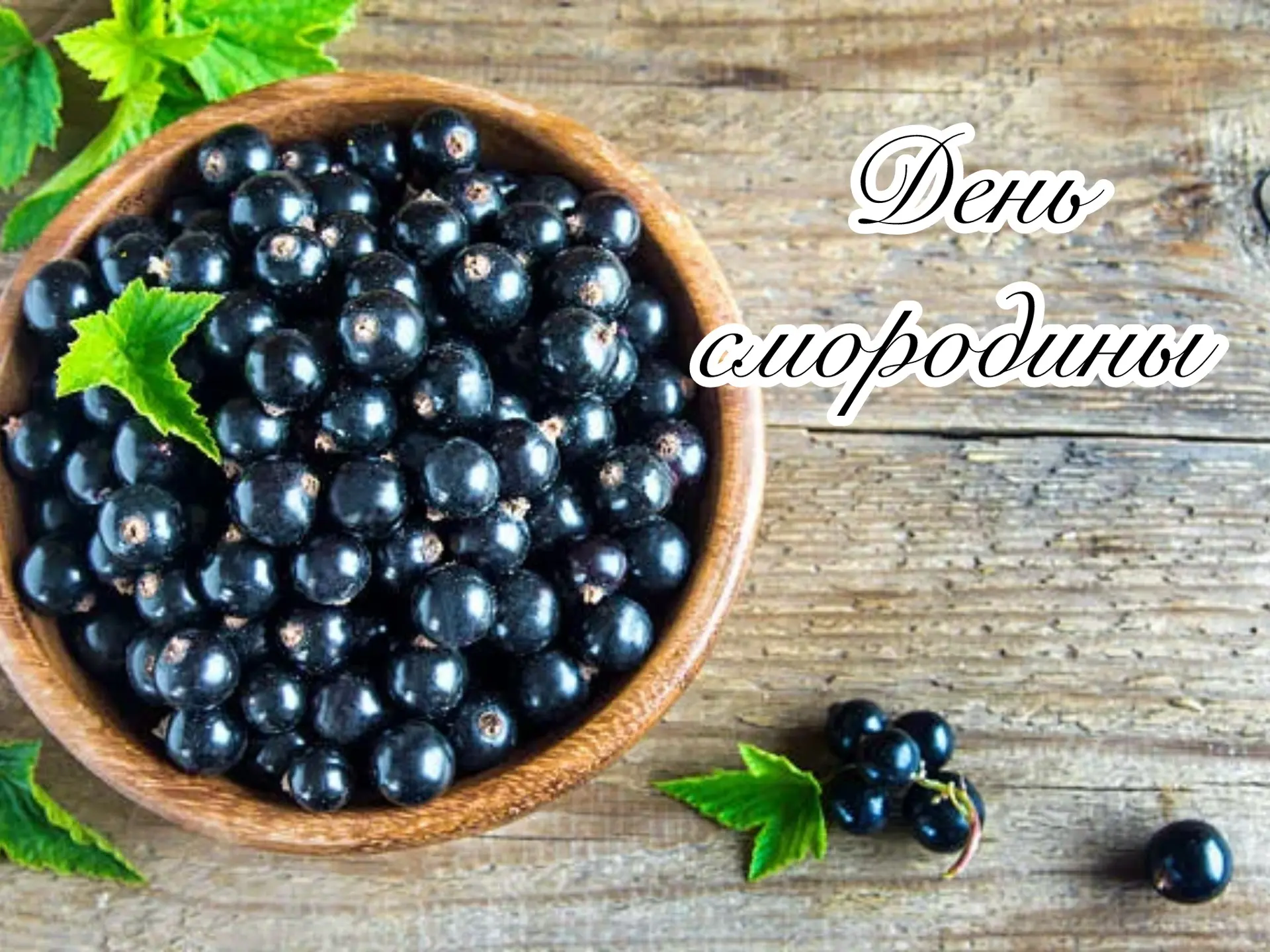 🎉 День смородины в нашем детском саду! 🎉