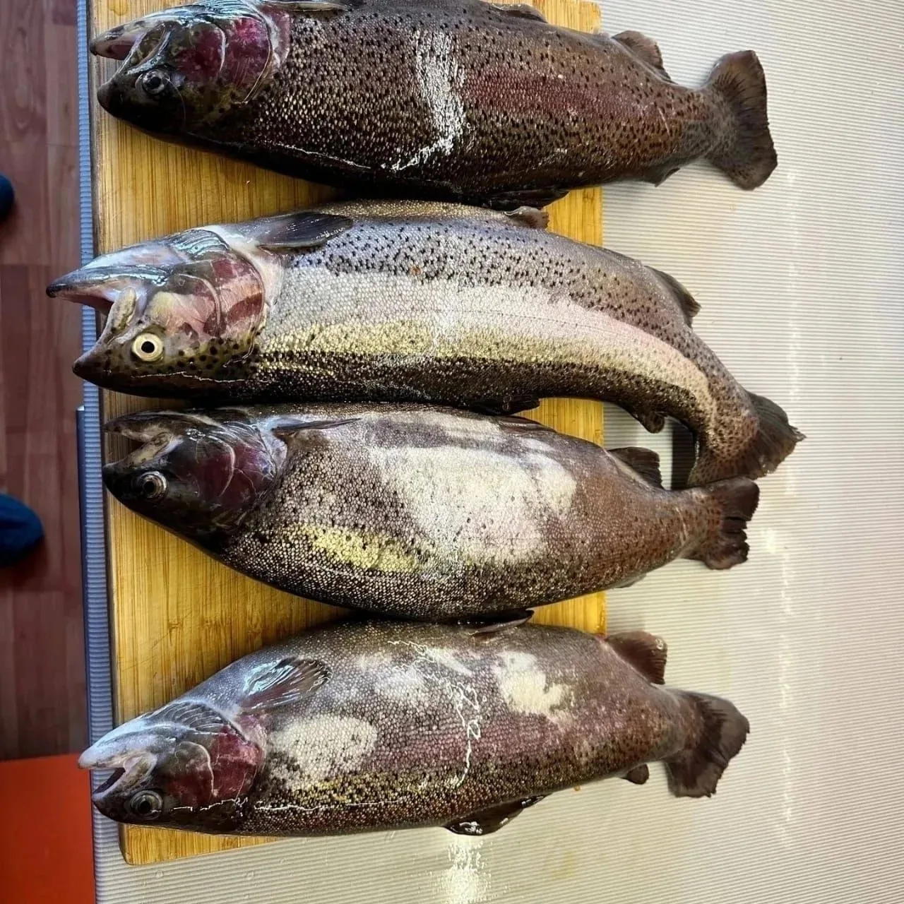‼ ЕКАТЕРИНБУРГ

🐟 Новое поступление свежей рефтинской форели! 🙌

Свежая форель утреннего вылова уж